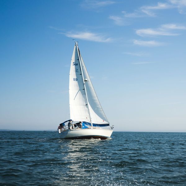 Rinnovo patente nautica